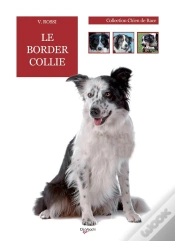 Capa do artigo Le Border Collie