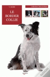 Le Border Collie