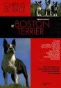 Le Boston Terrier - Preview