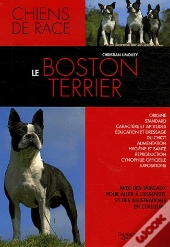 Le Boston Terrier