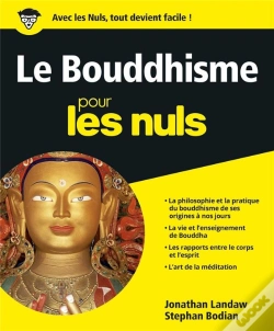 Capa do artigo Le Bouddhisme Pour Les Nuls