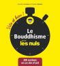 Le Bouddhisme Vite Et Bien Pour Les Nuls - Preview