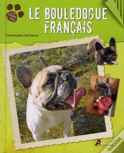 Capa do artigo Le Bouledogue Francais