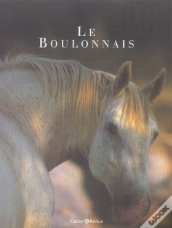 Capa do artigo Le Boulonnais