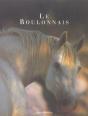 Le Boulonnais - Preview