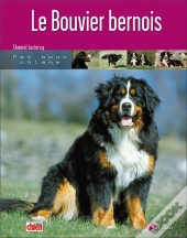 Le Bouvier Bernois