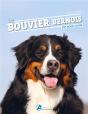 Le Bouvier Bernois - Preview