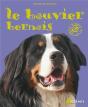 Le Bouvier Bernois - Preview