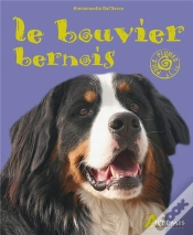 Capa do artigo Le Bouvier Bernois