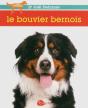 Le Bouvier Bernois - Preview