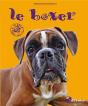 Le Boxer - Preview