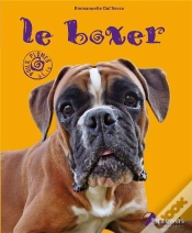Capa do artigo Le Boxer