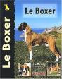 Le Boxer - Preview