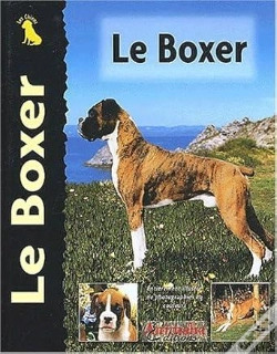 Capa do artigo Le Boxer