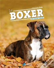 Capa do artigo Le Boxer