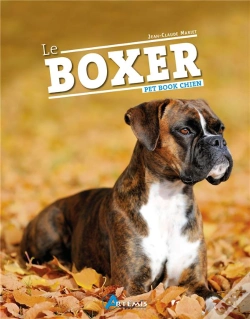 Capa do artigo Le Boxer
