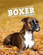 Le Boxer - Preview