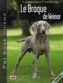 Capa do artigo Le Braque De Weimar