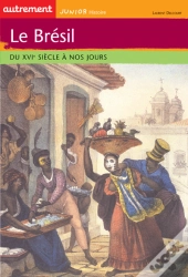 Le Bresil Du Xvi Siecle A Nos Jours