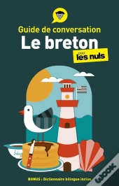 Le Breton Pour Les Nuls : Guide De Conversation (4e Édition)