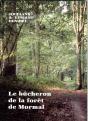 Le Bucheron De La Foret De Mormal - Preview
