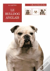 Le Bulldog Anglais