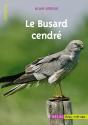 Le Busard Cendré - Preview