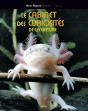 Le Cabinet De Curiosités De La Nature - Preview