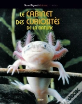 Le Cabinet De Curiosités De La Nature