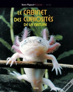 Capa do artigo Le Cabinet De Curiosités De La Nature