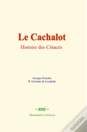 Capa do artigo Le Cachalot
