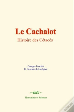 Capa do artigo Le Cachalot