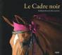 Le Cadre Noir - Preview