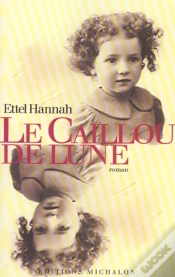 Capa do artigo Le Caillou De Lune