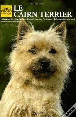 Capa do artigo Le Cairn Terrier