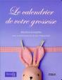 Le Calendrier De Votre Grossesse - Preview
