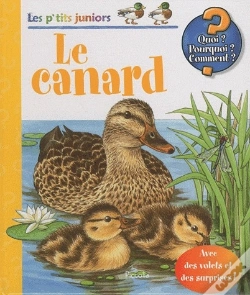 Capa do artigo Le Canard