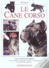 Le Cane Corso