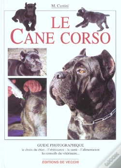 Capa do artigo Le Cane Corso
