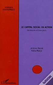Capa do artigo Le Capital Social En Action ; Territoires Et Transferts