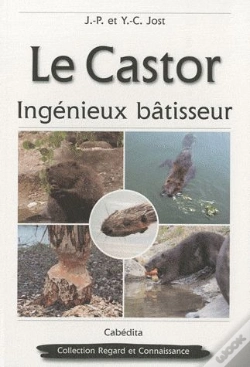 Capa do artigo Le Castor, Ingénieux Batisseur