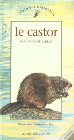 Capa do artigo Le Castor