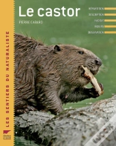 Le Castor