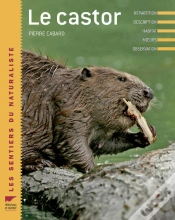Capa do artigo Le Castor