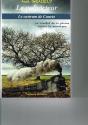 Le Castrum Caneto - Preview