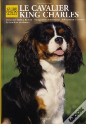 Le Cavalier King Charles