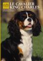 Le Cavalier King Charles - Preview