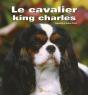 Le Cavalier King Charles - Preview