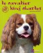 Le Cavalier King Charles - Preview