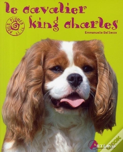Capa do artigo Le Cavalier King Charles